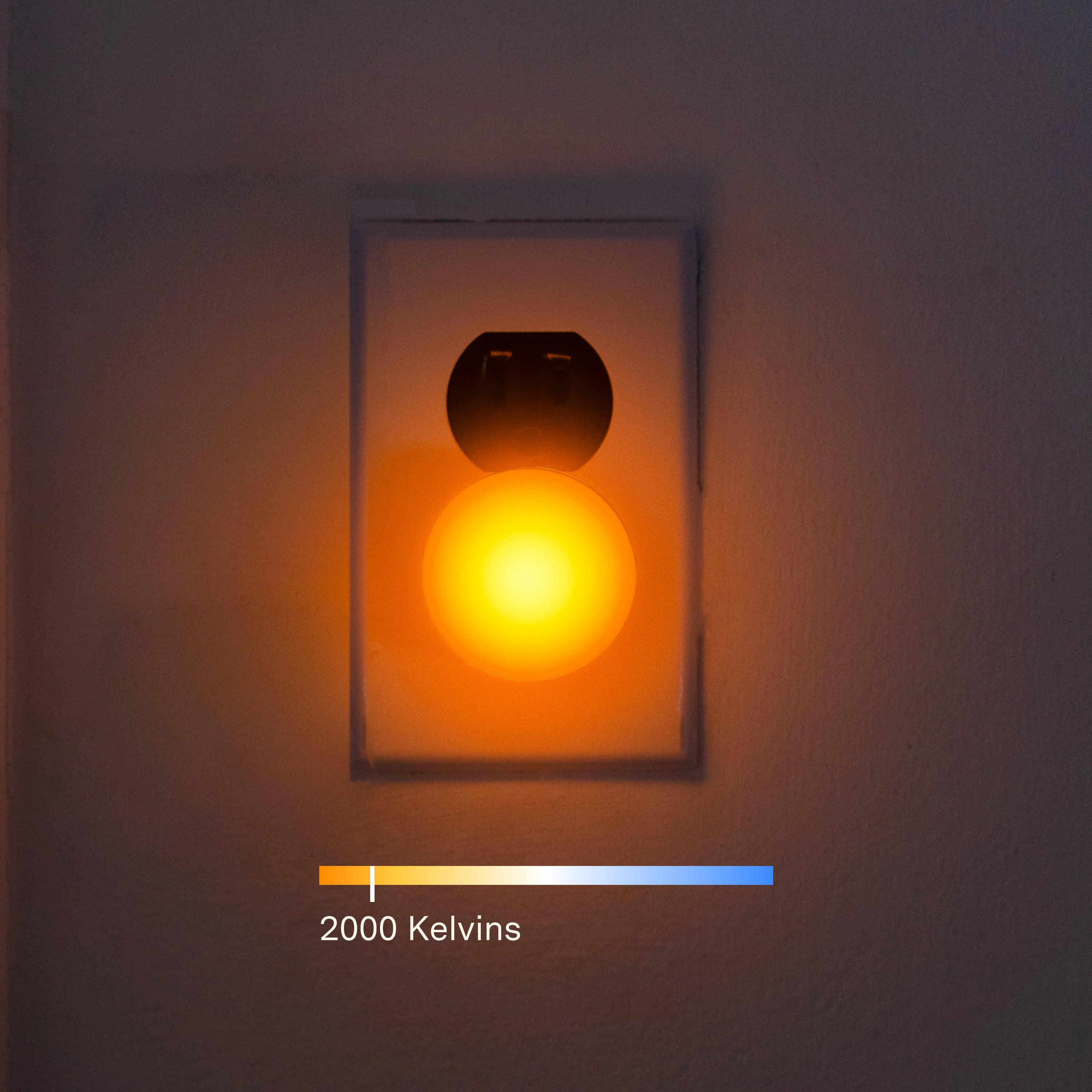 amber, mixed amberca